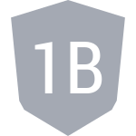 Bandeira 1B